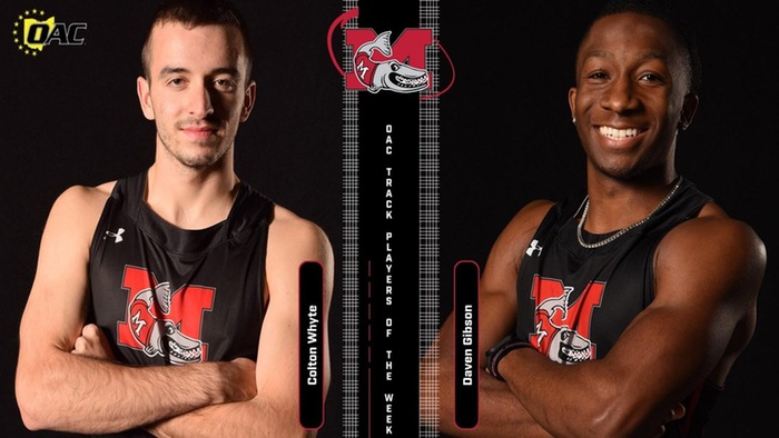 Gibson and Whyte named OAC Men's Outdoor Track & Field Players of the Week