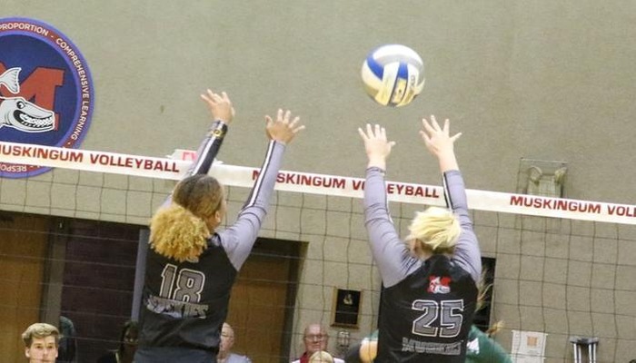 Volleyball goes undefeated at DePauw Invite