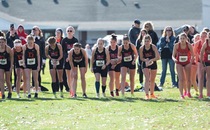 Stephens leads women's cross country at OAC Championships